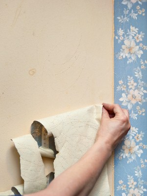 Wallpaper removal in Upper Black Eddy, PA by Pop Of Color Painting.