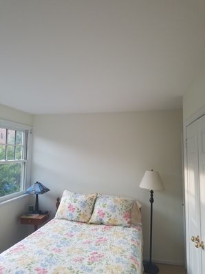 Before & After Wallpaper Removal/Painting  in Philadelphia, PA (3)